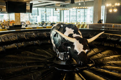 Mechanical bull with black-and-white cow pattern and long horns on a circular inflatable mat inside a modern indoor bar and lounge with yellow barstools and large windows