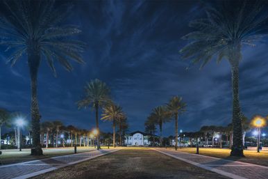 Palm-lined park promenade at night with glowing street lamps, paved walkways and manicured lawn leading to a white building under a dramatic deep-blue sky