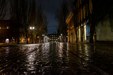 Rain-slicked cobblestone street reflecting lamplight on a quiet historic downtown at night, lined with old brick buildings and bare trees.