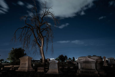 Moody night scene in an old cemetery: a bare twisted tree towering over stone tombs with distant city lights under a cloudy deep-blue sky.
