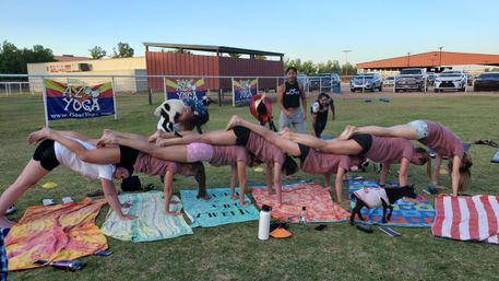 Outdoor goat yoga class on a grassy field: a line of participants linked in plank/backbend poses on colorful mats while small goats climb over them, banners and parked cars visible in the background.