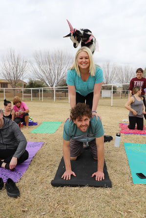 Couple doing partner yoga on a grassy outdoor field with a small goat wearing a pink unicorn horn perched on the woman’s shoulders during a playful group goat-yoga class