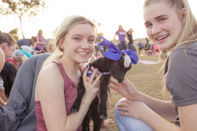 Two smiling young people holding an adorable black-and-white baby goat wearing a large purple bow at an outdoor park event at sunset.