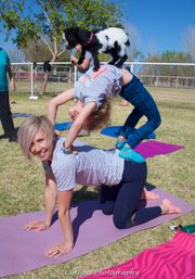 Sunny outdoor goat yoga on a grassy park: adult on hands-and-knees supports a child doing a backbend while a small black-and-white baby goat stands on the child's back.