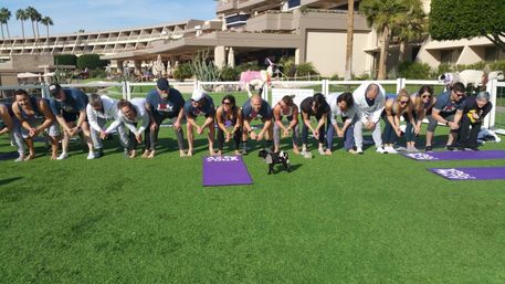 Playful group lined up on a sunny resort lawn with palm trees, leaning forward as a small black dog walks between purple yoga mats in front of a hotel building.