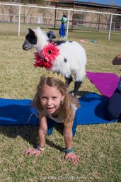 Child at outdoor goat yoga: smiling girl in a crown holds a plank on a blue mat while a small black-and-white goat wearing bright pink flowers stands behind her on a sunny grassy field.
