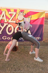 Tiny goat wearing a pink tutu stands on a person doing a yoga backbend outdoors in front of a colorful goat-yoga banner