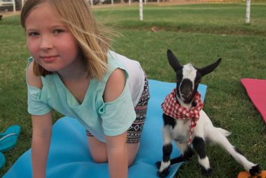 Child on a blue yoga mat outdoors doing a pose beside a baby goat wearing a red gingham bandana — playful goat yoga on grass
