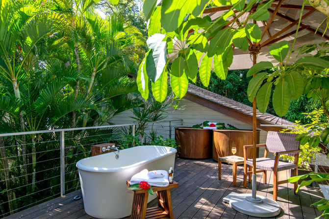 Villa Rosa: Luxury Ocean-View Villa with Private Gym, Spa, and Half Moon Club Access image 4