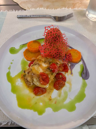 Villa Rosa: Luxury Ocean-View Villa with Private Gym, Spa, and Half Moon Club Access image 38