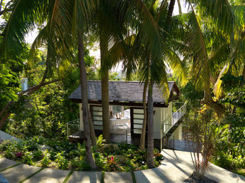 Sunlit modern tropical bungalow with wooden deck tucked among tall palm trees and lush garden beside a winding stone path