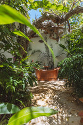 Inviting copper freestanding bathtub in a sunlit tropical garden courtyard beneath a twisted tree, surrounded by lush green plants and a dappled stone pathway.
