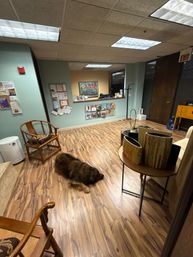 Five Element Acupuncture - An Individualized Healing Experience with Dr. Reiman image 7