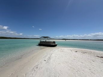 Half-Day Private Boat Party at Shell Key, Tampa image 8
