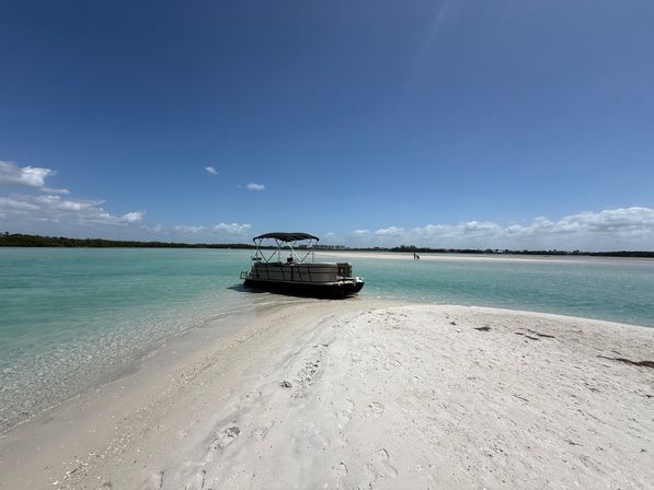 Half-Day Private Boat Party at Shell Key, Tampa image 8