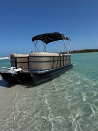 Half-Day Private Boat Party at Shell Key, Tampa image 7