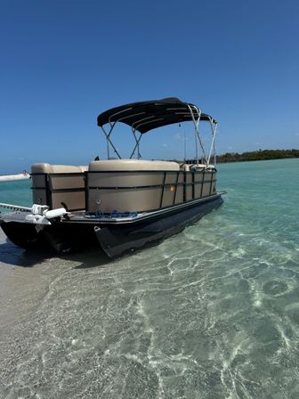 Half-Day Private Boat Party at Shell Key, Tampa image 7