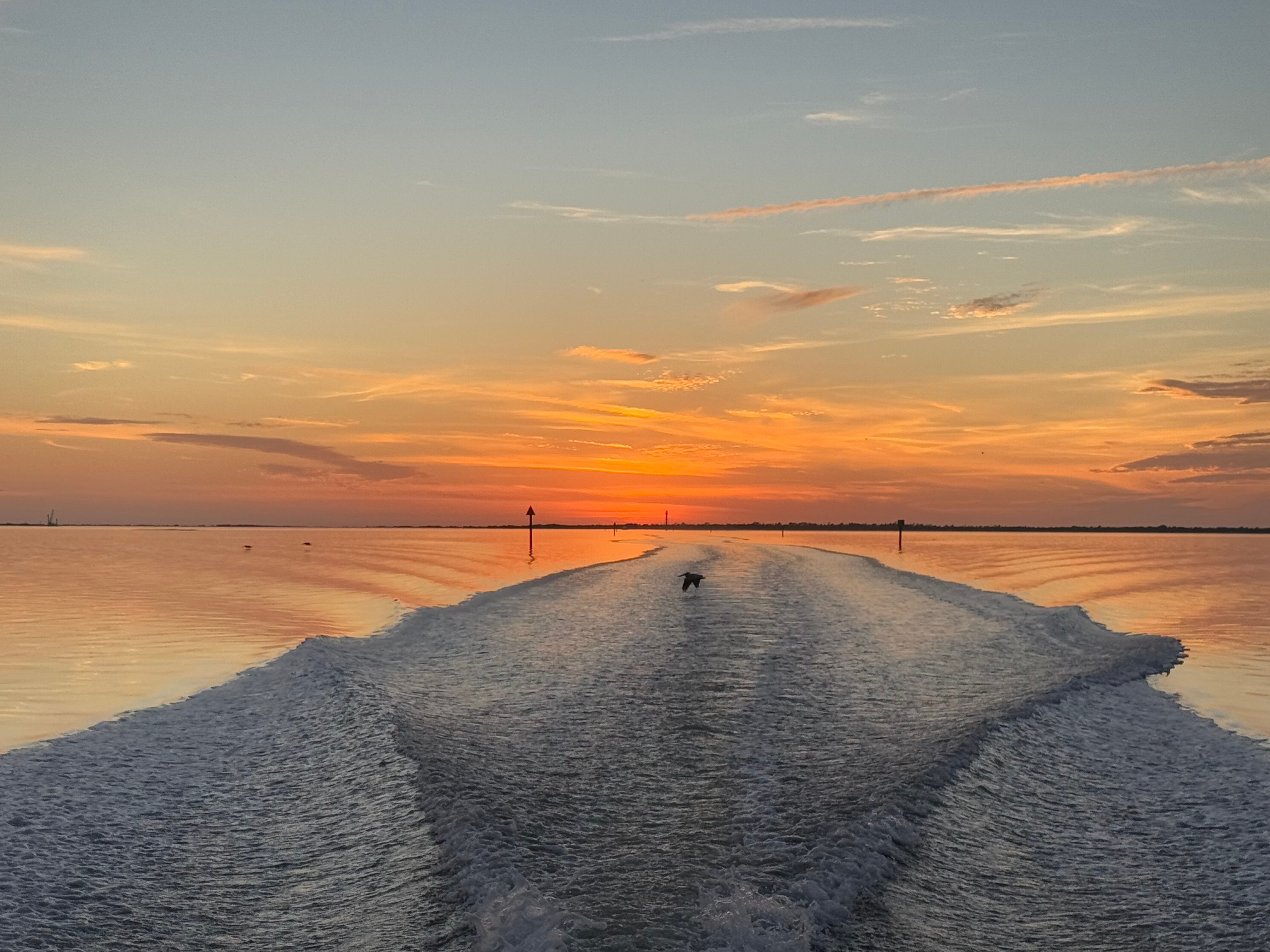 V-shaped boat wake cutting through calm coastal waters toward a vivid orange-pink sunset, a lone seabird skimming the wake with channel markers on the horizon.