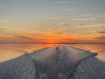 V-shaped boat wake cutting through calm coastal waters toward a vivid orange-pink sunset, a lone seabird skimming the wake with channel markers on the horizon.