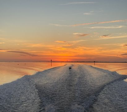 V-shaped boat wake cutting through calm coastal waters toward a vivid orange-pink sunset, a lone seabird skimming the wake with channel markers on the horizon.