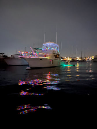 Weekday 2 Hour Cruise of Alamitos Beach, Belmont Shores and the Astronaut Islands image 2