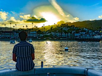 Person sitting on a boat watching a golden sunset over a palm‑lined coastal harbor with moored boats, shimmering water, and hillside homes.