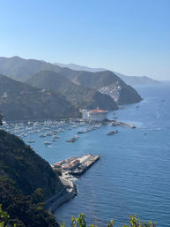 Aerial view of Avalon Harbor, Catalina Island, California — round waterfront theater building, marina packed with sailboats, winding coastal road and layered green hills under a clear blue sky
