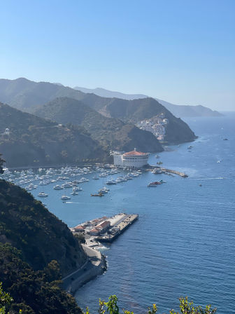 Aerial view of Avalon Harbor, Catalina Island, California — round waterfront theater building, marina packed with sailboats, winding coastal road and layered green hills under a clear blue sky