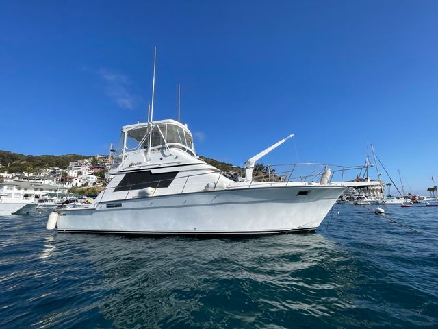 Weekday 2 Hour Cruise of Alamitos Beach, Belmont Shores and the Astronaut Islands image 3