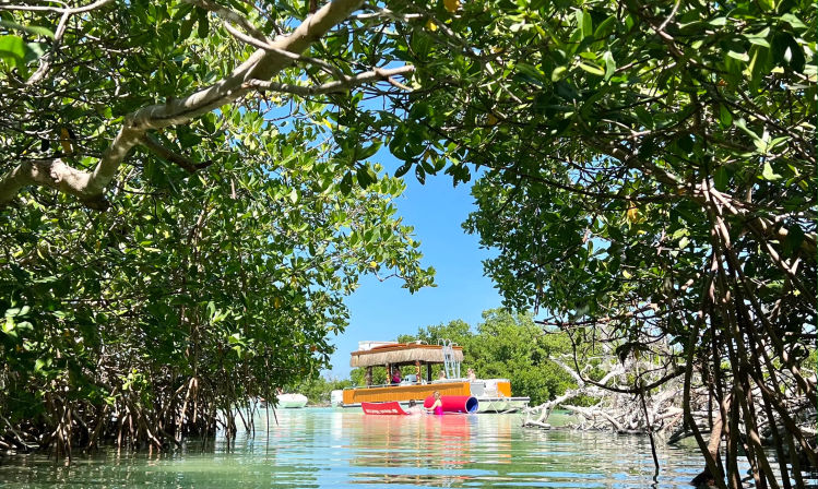Tropical mangrove tunnel framing a colorful pontoon boat and red kayak on clear turquoise water under a bright blue sky