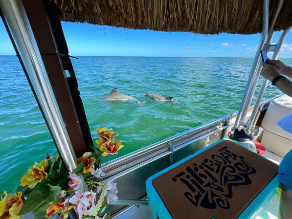 Two dolphins swimming beside a pontoon boat decorated with tropical flowers and a thatched roof, turquoise coastal waters under a clear blue sky.