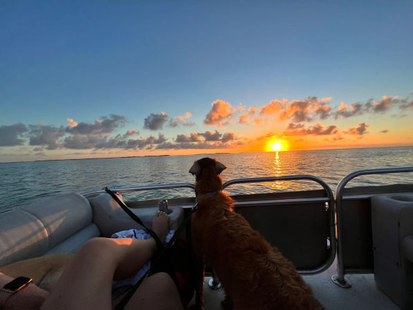 Brown dog on a pontoon boat watching a golden sunset over calm ocean waters, orange clouds reflecting on the sea with passenger legs and boat railing in the foreground.