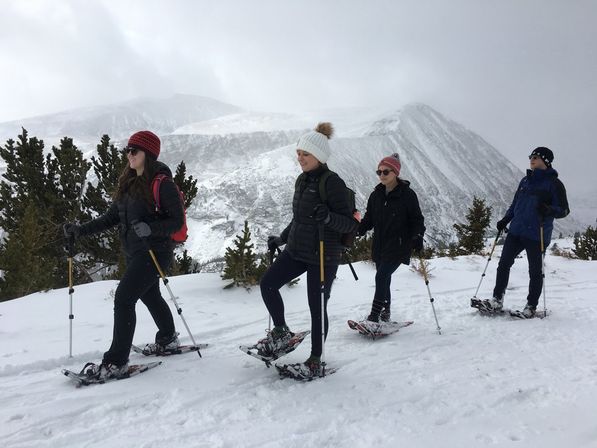 Four people snowshoeing in a line along a snowy alpine ridge, wearing winter jackets and beanies with backpacks and poles, evergreen shrubs and snow-covered mountain peaks under an overcast sky