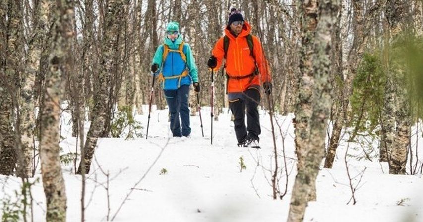 Two hikers in bright winter jackets and backpacks using trekking poles on a snowy birch-wood trail — a winter outdoor adventure.