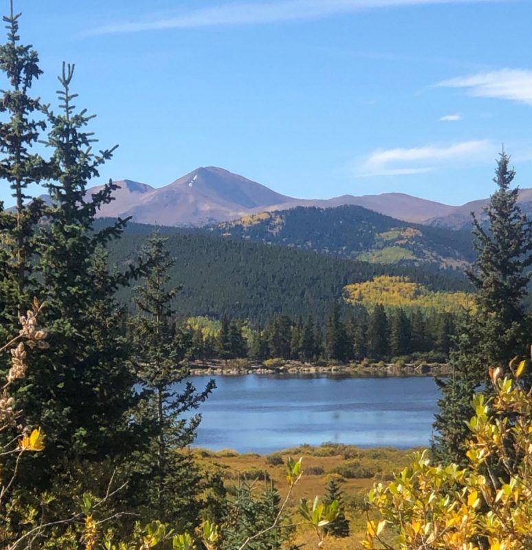Tranquil alpine lake framed by evergreen pines and golden aspens, calm blue water with a forested shoreline and distant rugged mountain peaks under a clear blue sky.