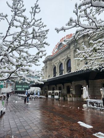 Snow-dusted tree branches frame a historic city train station and empty wet-brick plaza on an overcast winter day.