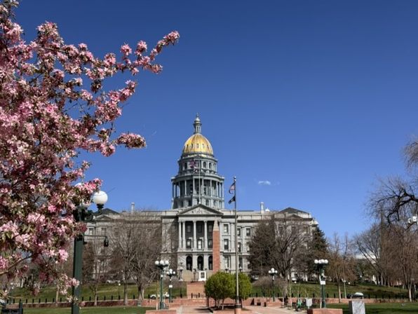 Springtime shot of the Colorado State Capitol with its gold dome framed by pink blossoms and a bright blue sky
