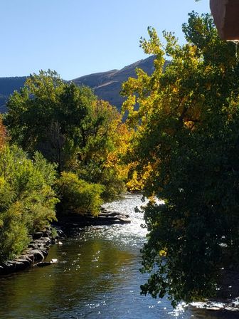 Scenic mountain river in autumn with shimmering water, rocky banks, and green-to-golden trees under a clear blue sky