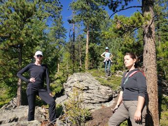 Three hikers in casual gear pause on a sunny rocky outcrop in a pine mountain forest under a clear blue sky