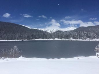 Serene winter wonderland: a snowy alpine lake with a snow-covered shoreline, dense pine forest, and distant snow-capped peaks under a bright blue sky.