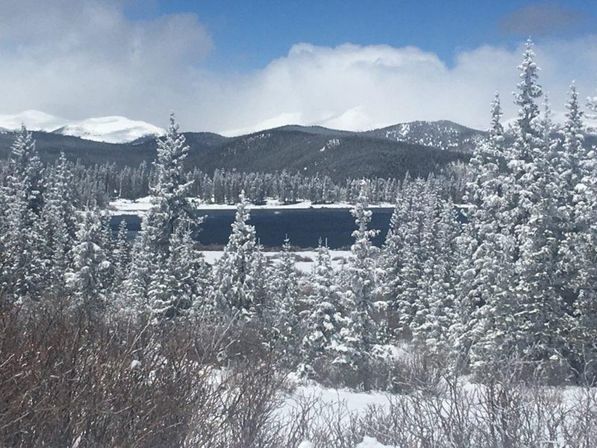 Scenic winter scene: snow-dusted pine trees framing a dark alpine lake with forested hills and snow-capped mountains under a bright blue sky