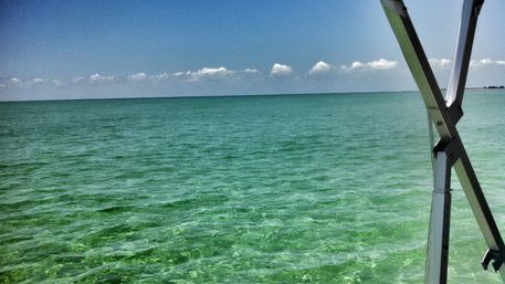 Passage Key Private Charter From St Pete: Exclusive Naturist Beach Experience image 7