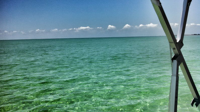 Passage Key Private Charter From St Pete: Exclusive Naturist Beach Experience image 7