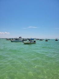 Passage Key Private Charter From St Pete: Exclusive Naturist Beach Experience image 3