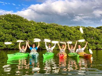 Sandbar Party Kayaking Adventure from St Pete image