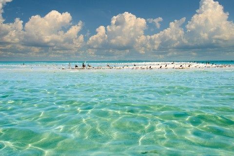 Passage Key Private Charter From St Pete: Exclusive Naturist Beach Experience image 4