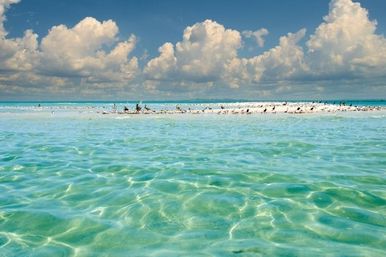 Passage Key Private Charter From St Pete: Exclusive Naturist Beach Experience image 4