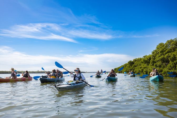 Sandbar Party Kayaking Adventure from St Pete image 7