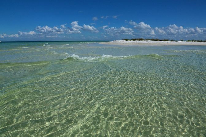 Passage Key Private Charter From St Pete: Exclusive Naturist Beach Experience image 8