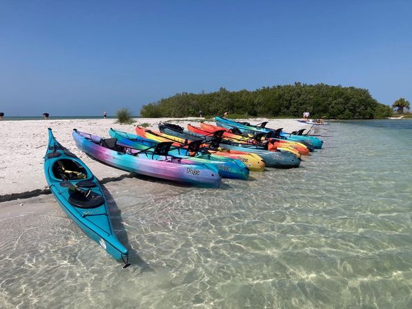 Sandbar Party Kayaking Adventure from St Pete image 3